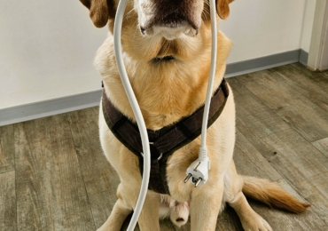 Keine Sprechstunde wegen Stromabschaltung 12.11.2025