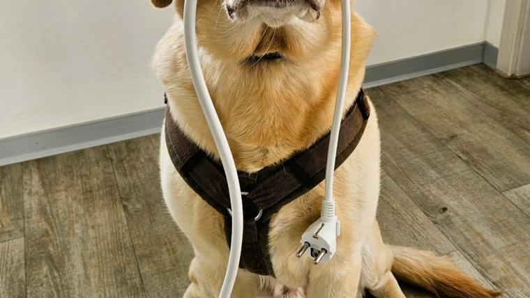 Keine Sprechstunde wegen Stromabschaltung 12.11.2025