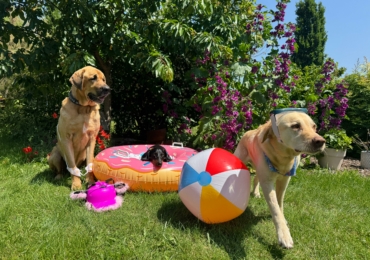 Sommerurlaub vom 07.07.-20.07.2025