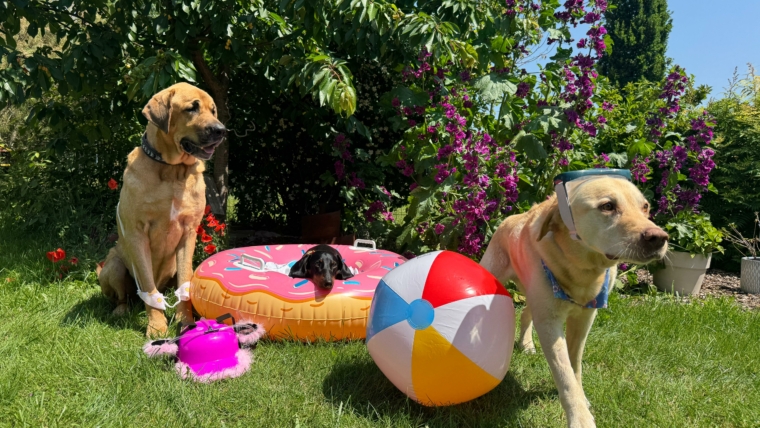 Sommerurlaub vom 07.07.-20.07.2025