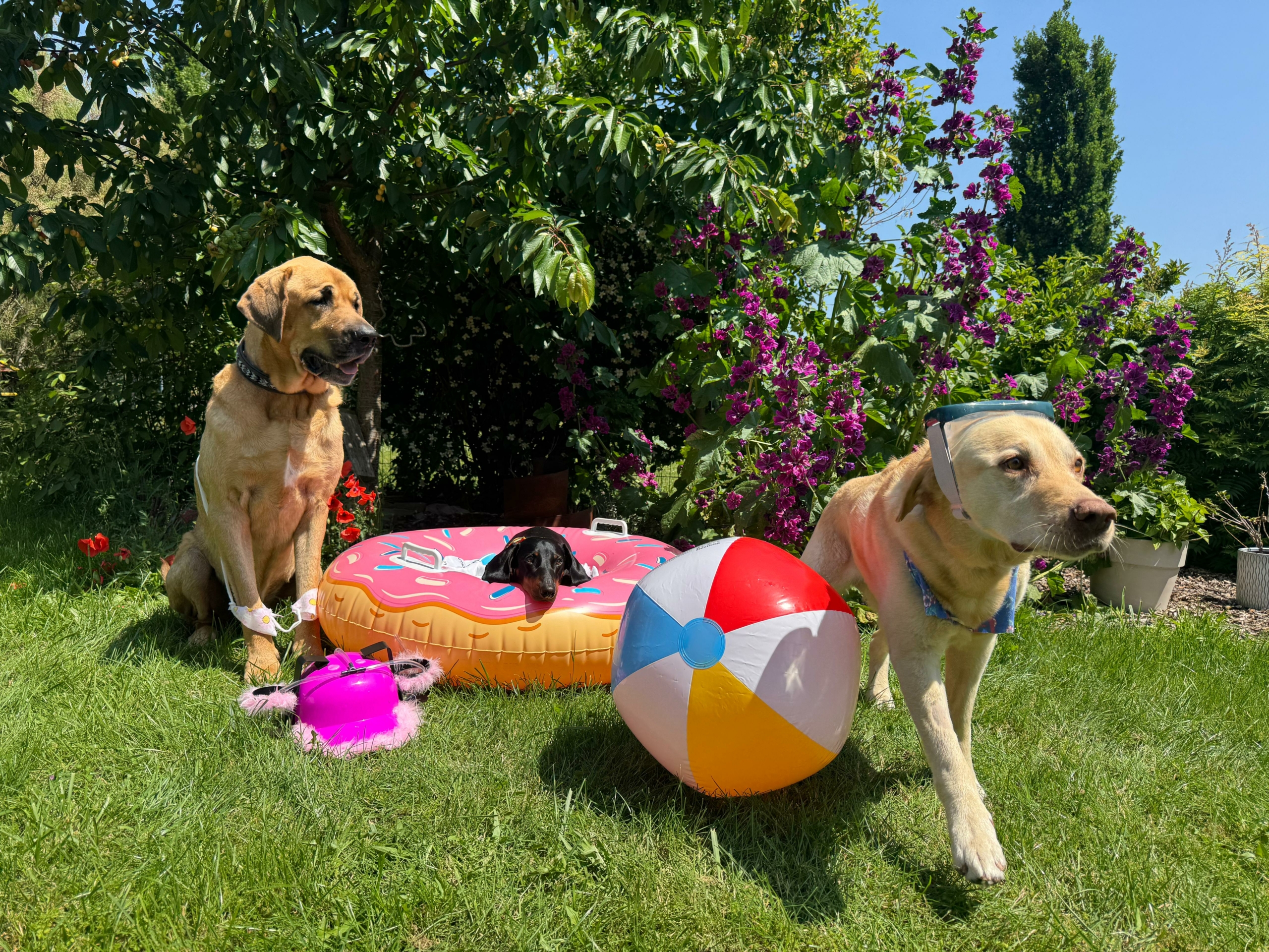 Sommerurlaub vom 07.07.-20.07.2025