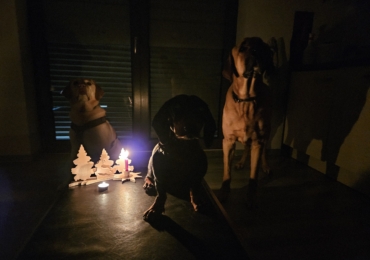 Stromabschaltung 18.12.2025