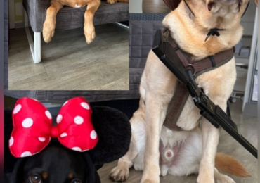 Winterurlaub 16.02.-20.02.2026