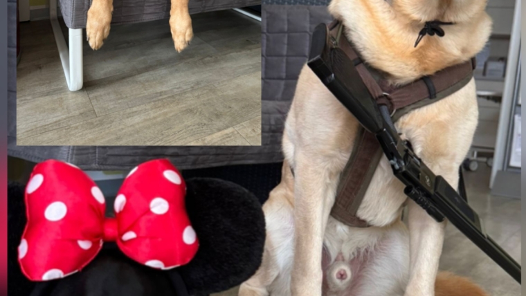 Winterurlaub 16.02.-20.02.2026