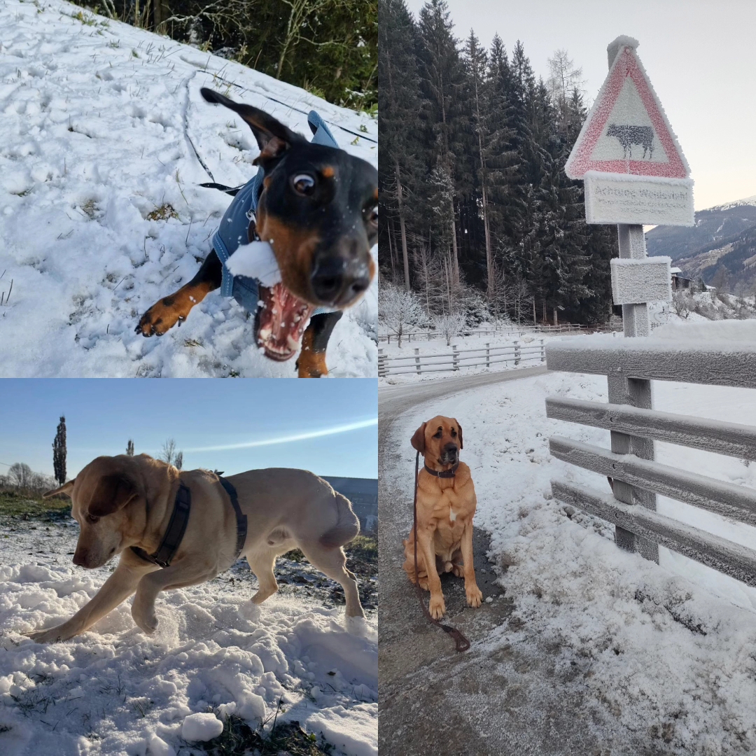 16.01.2026 Keine Sprechstunde wegen Teilnahme am Tierärztekongress