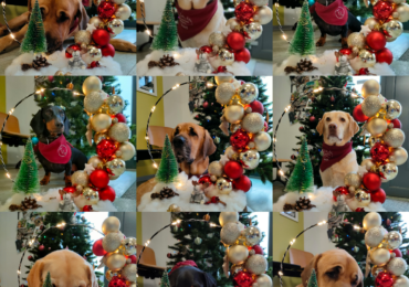 Weihnachtsurlaub 22.12.2025-04.01.2026