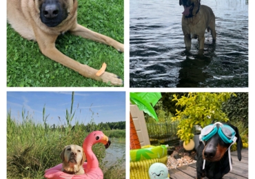 Sommerurlaub 29.07.26-16.08.2026