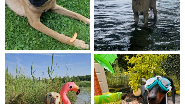 Sommerurlaub 29.07.26-16.08.2026