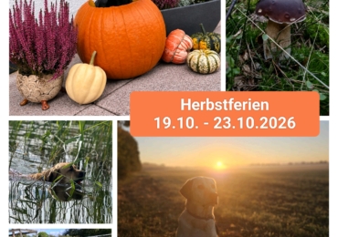 Herbsturlaub 19.10.2026-25.10.2026