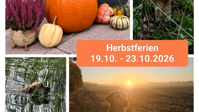 Herbsturlaub 19.10.2026-25.10.2026