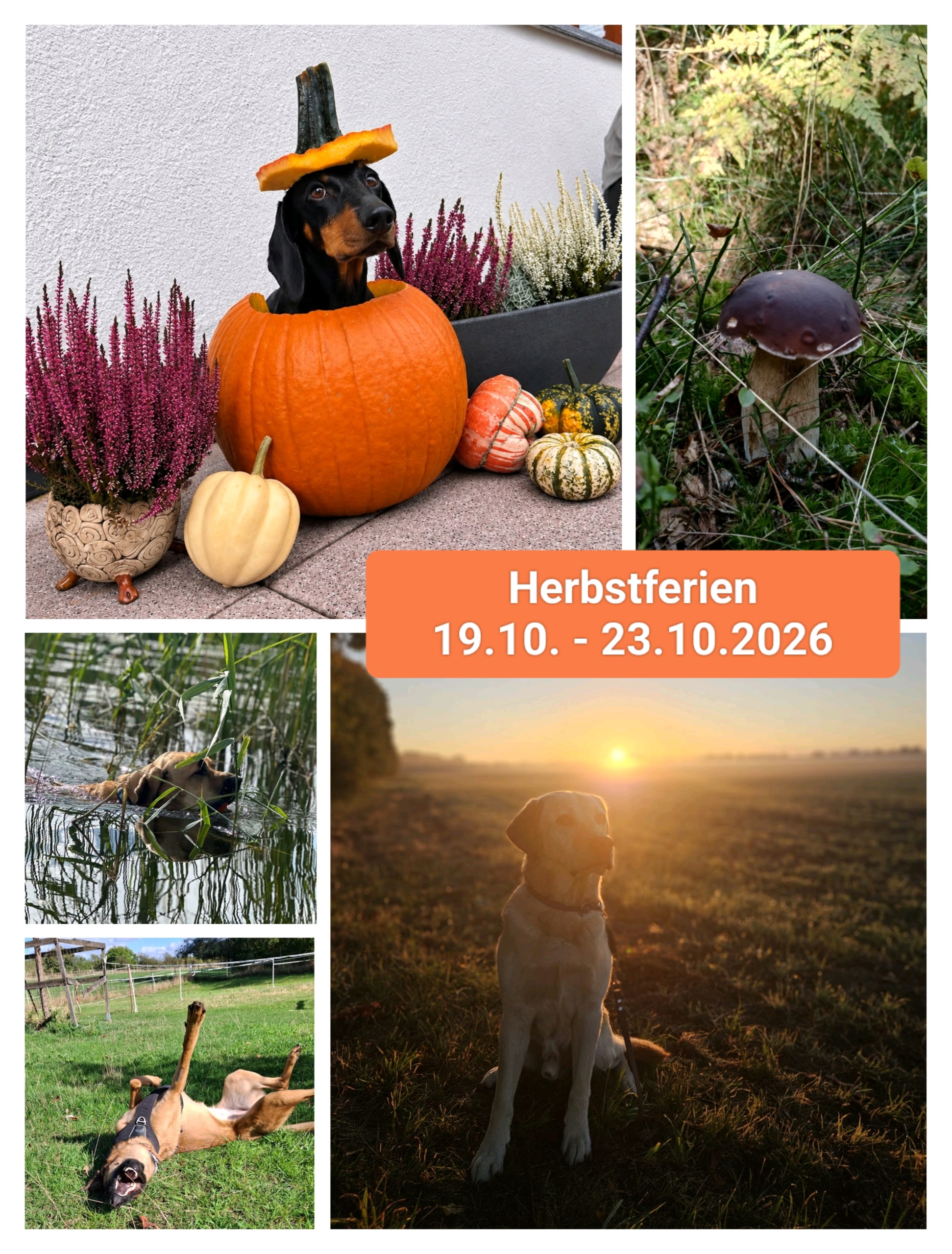 Herbsturlaub 19.10.2026-25.10.2026